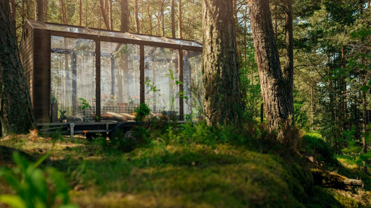 Glass cabin in green woods