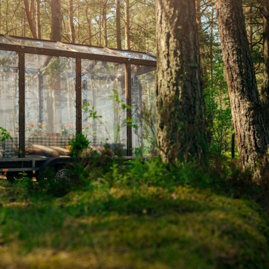 Hidden Nordic escapes in remote Scandinavian cabins you’ve never heard of