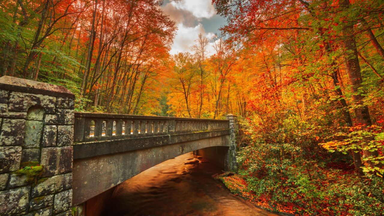 Autumn roads in Pisgah National Forest, North Carolina, USA.