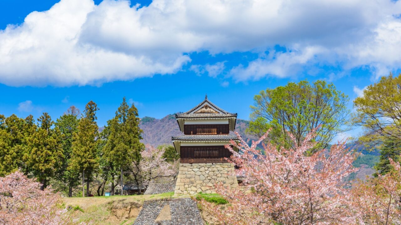 Ueda Castle and sakura cherry blossoms in full bloom, Nagano Prefecture, Japan
