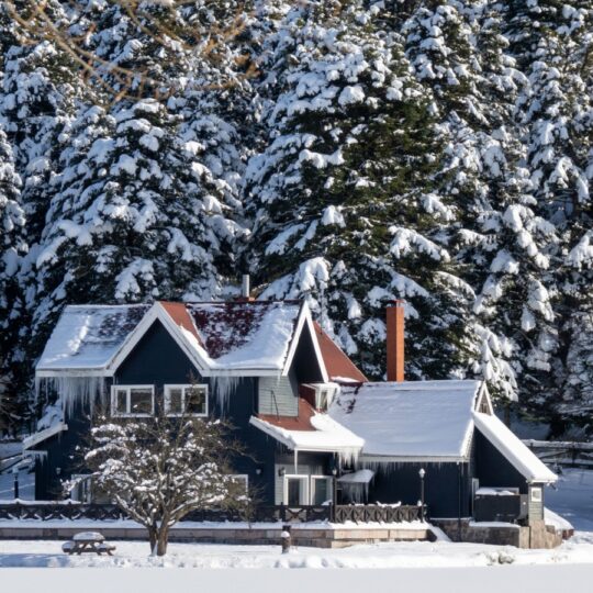 Sub-Arctic artist retreats are now luxury stays celebrities love