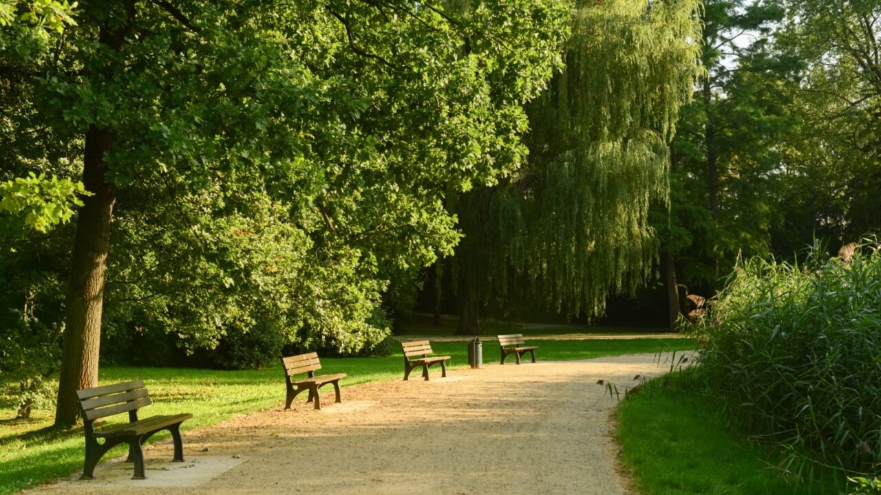 View of park with benches, green trees and alley