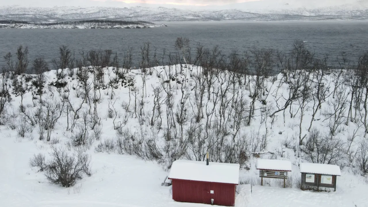 a beautiful snowy landscape with a forest and a lake