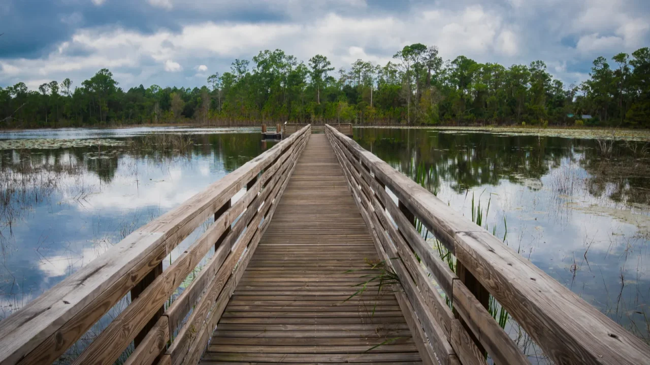 a pier in geneva wilderness area in geneva florida