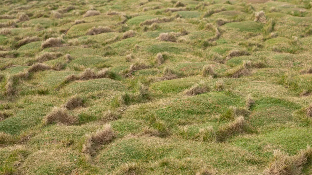 a stunning aerial view of a lush green landscape with