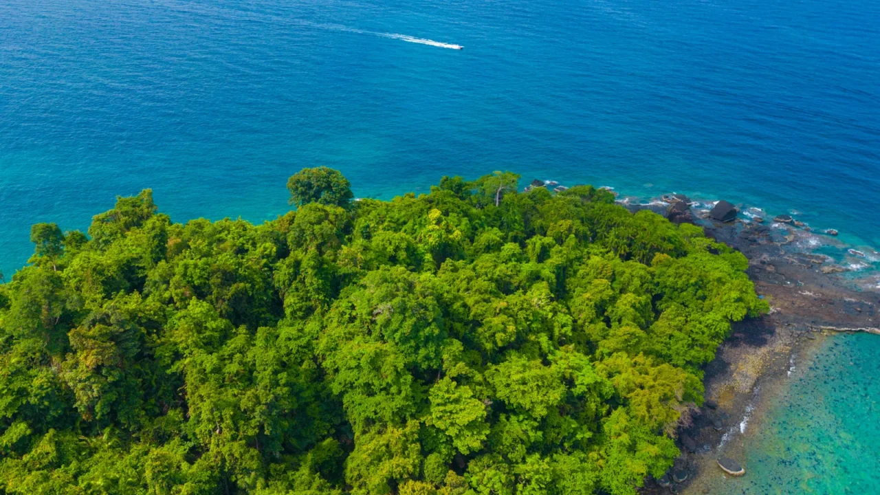 aerial view tropical green tree forest on tropical island sea