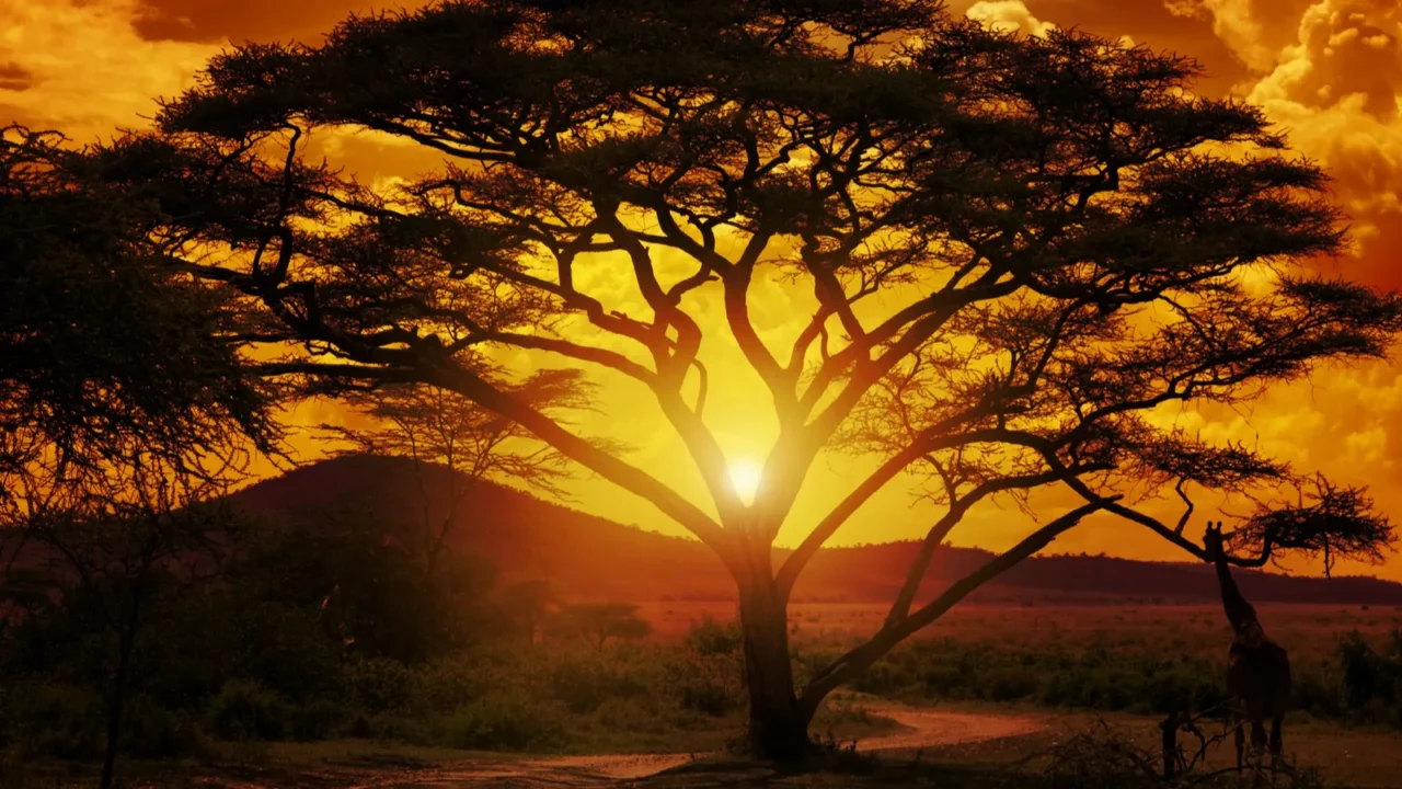 africa sunset
