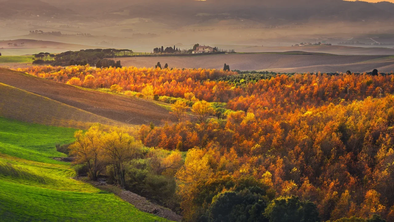 autumn panorama in tuscany rolling hills woods and fields on