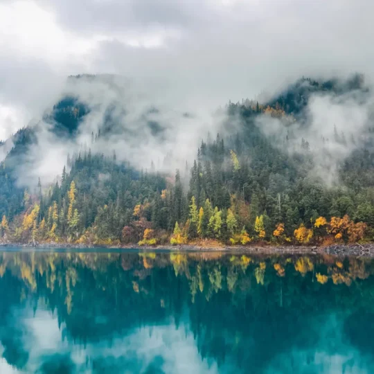 Fog aesthetic goes viral and travelers follow