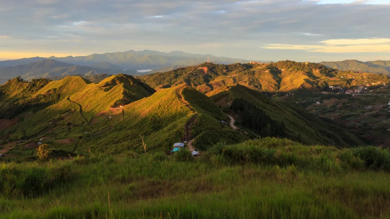 beautiful nature rainforest sunrise scene at sabah borneo