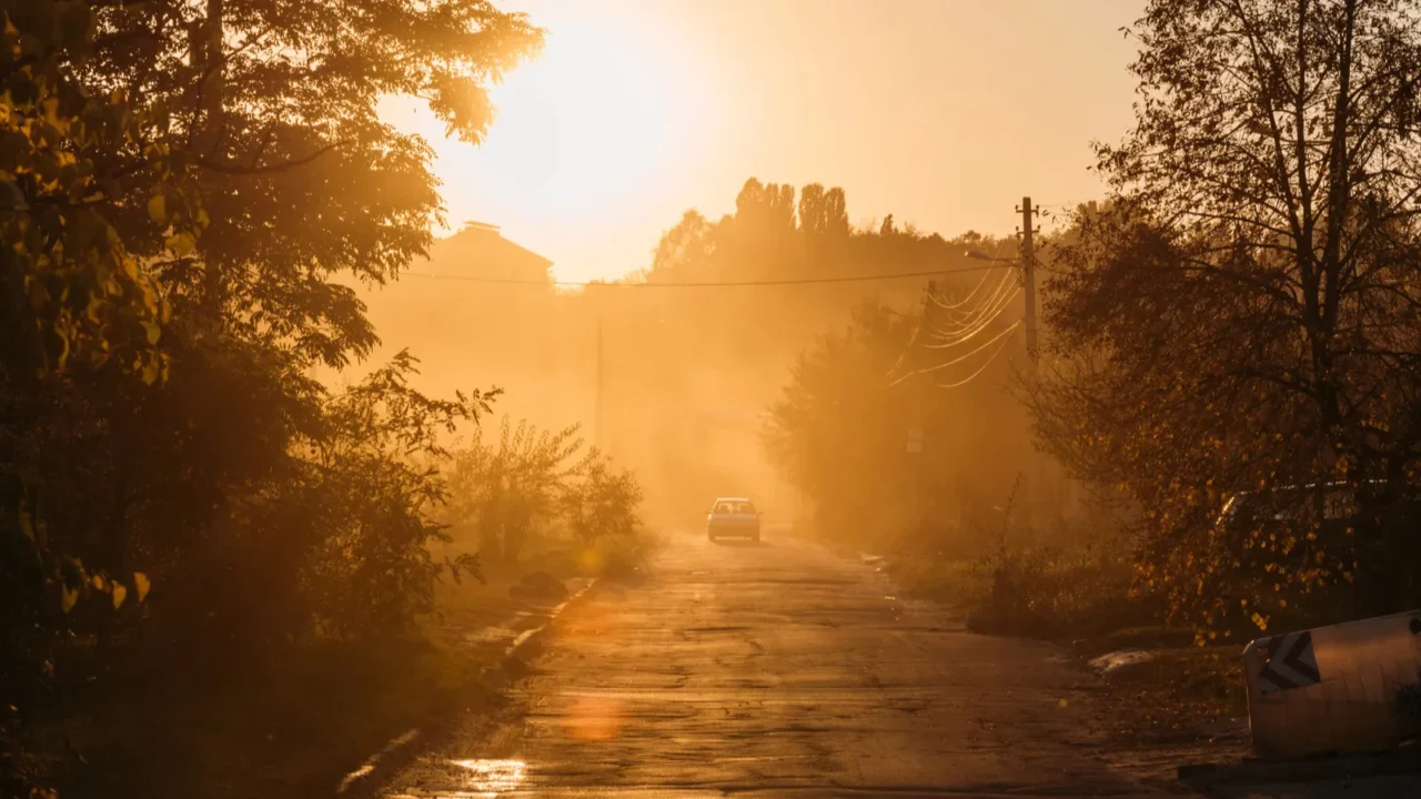 beautiful orange sunrise above trees and car on road