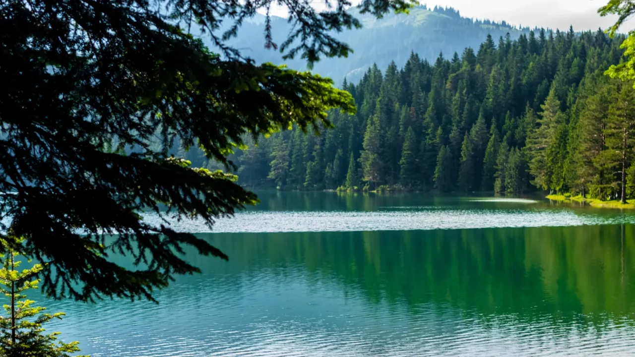 benches on coast of beautiful glacial black lake in montenegro