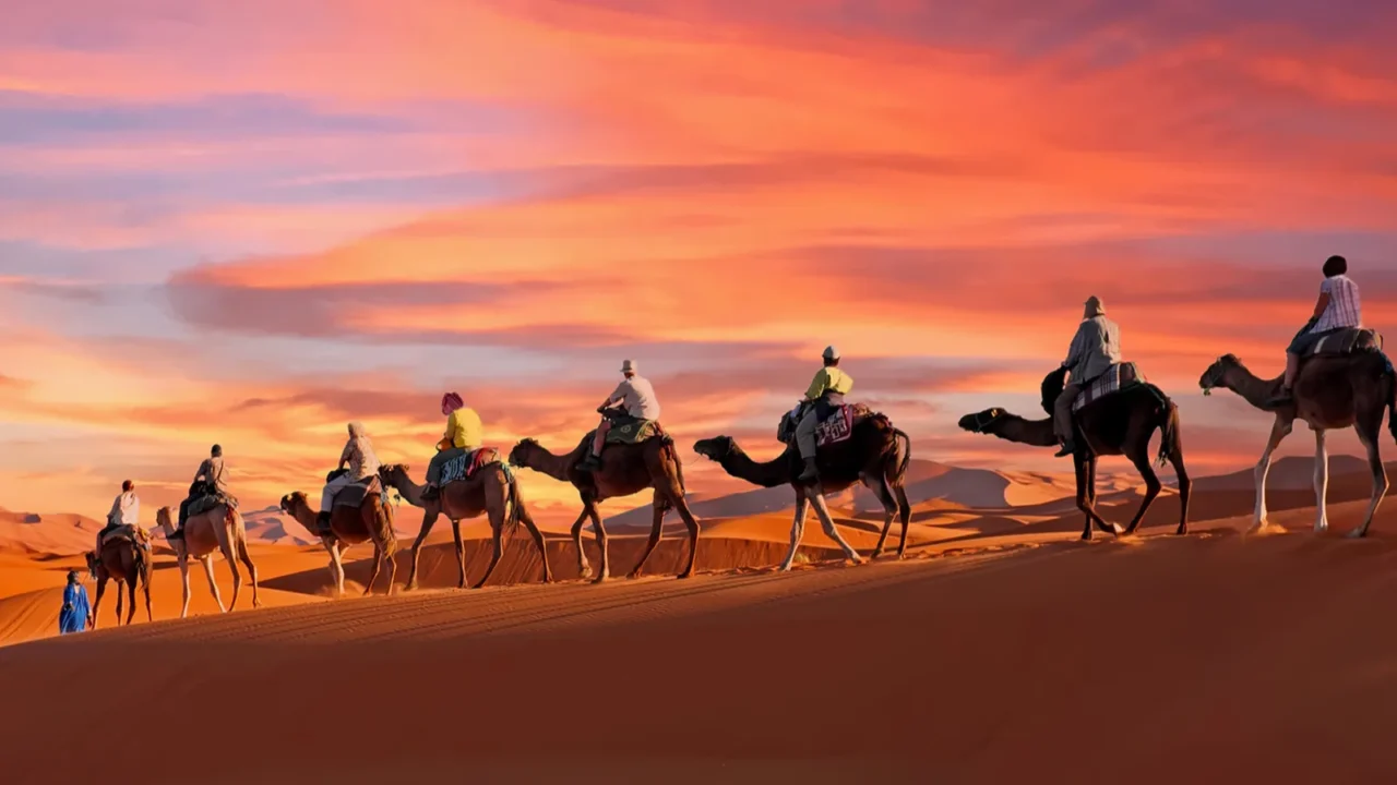 camel caravan going through the sahara desert in morocco at