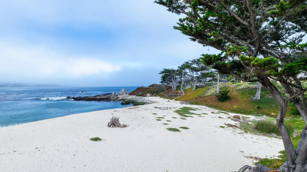 carmel river state beach in california usa with white sand