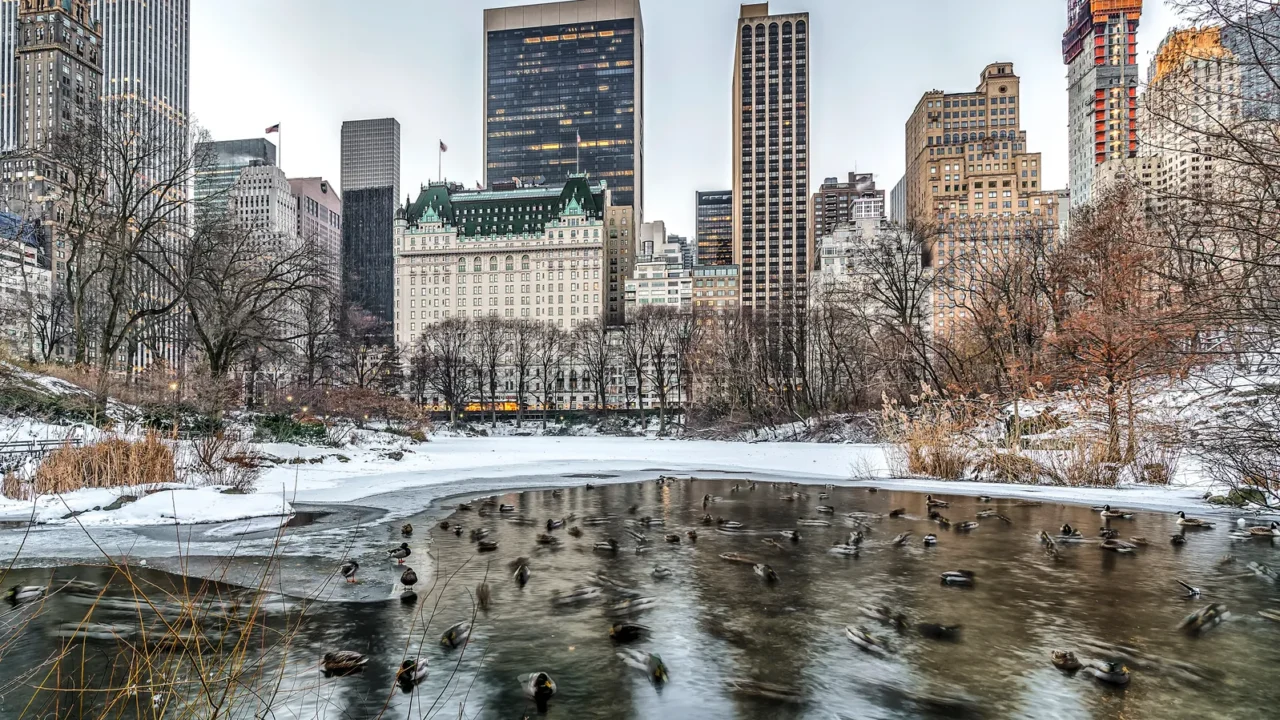 central park new york city