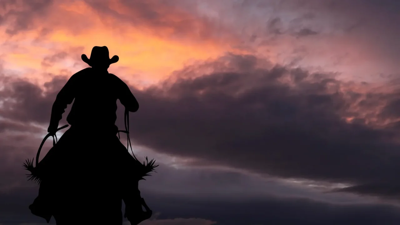 cowboy on a horse