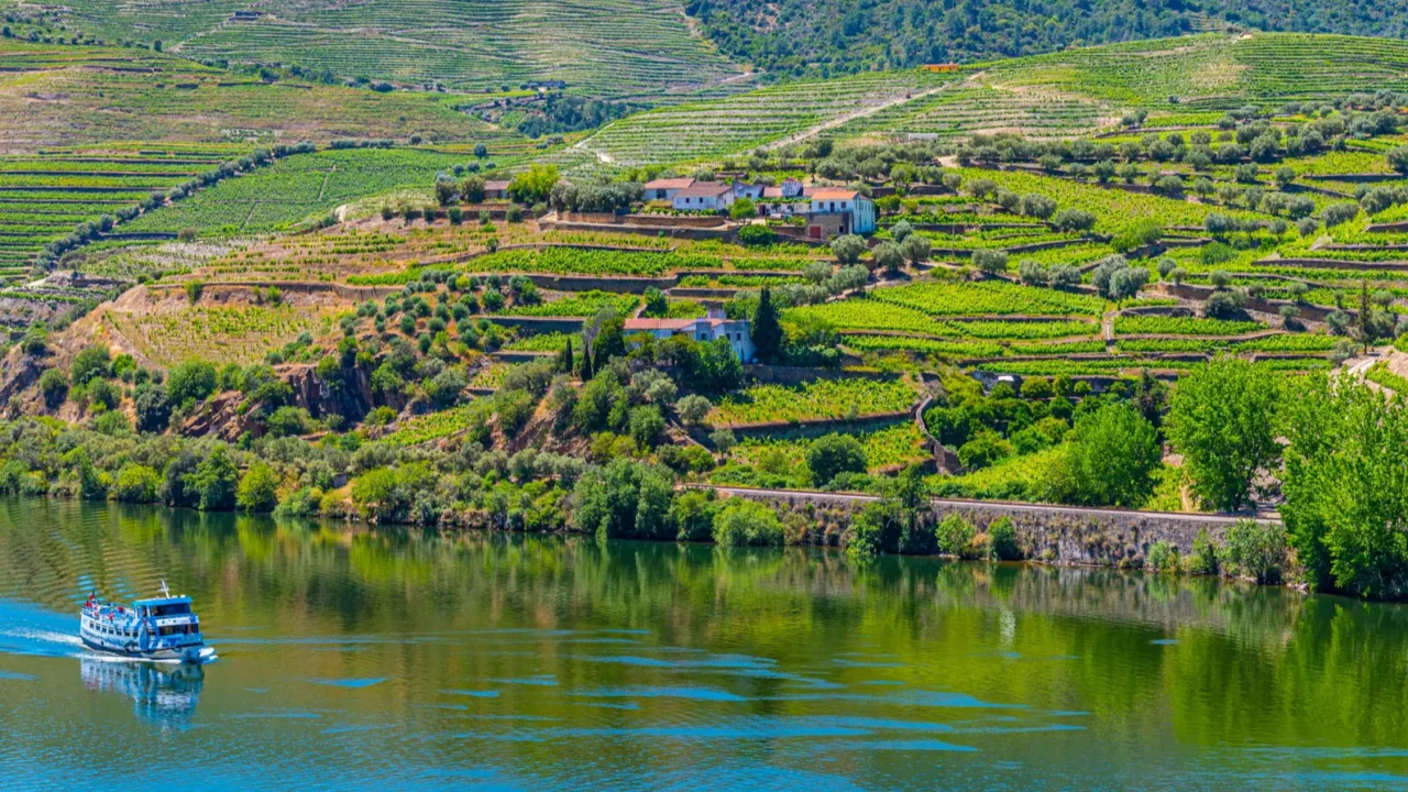 cruise ship on douro river passing among vineyards porto