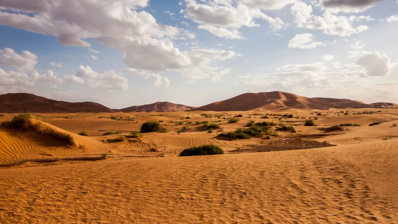 dry landscape and dunes in the sahara desert morocco