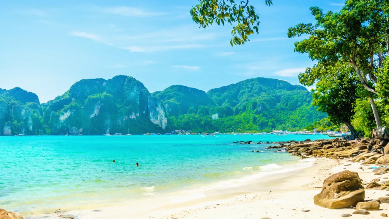 fabulous beach with exotic plants and white sand