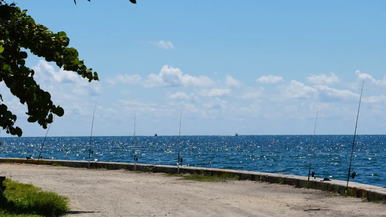 fishing spots with rods on the edge of the dirt