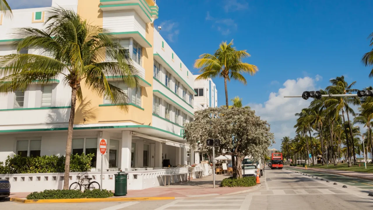 green palm trees growing next to road and modern building