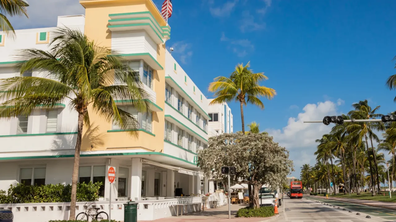 green palm trees growing next to road and modern building