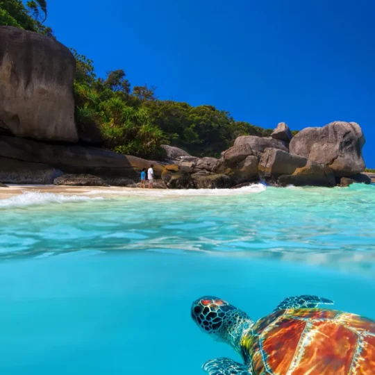 Emerging island nations are suddenly trending in searches