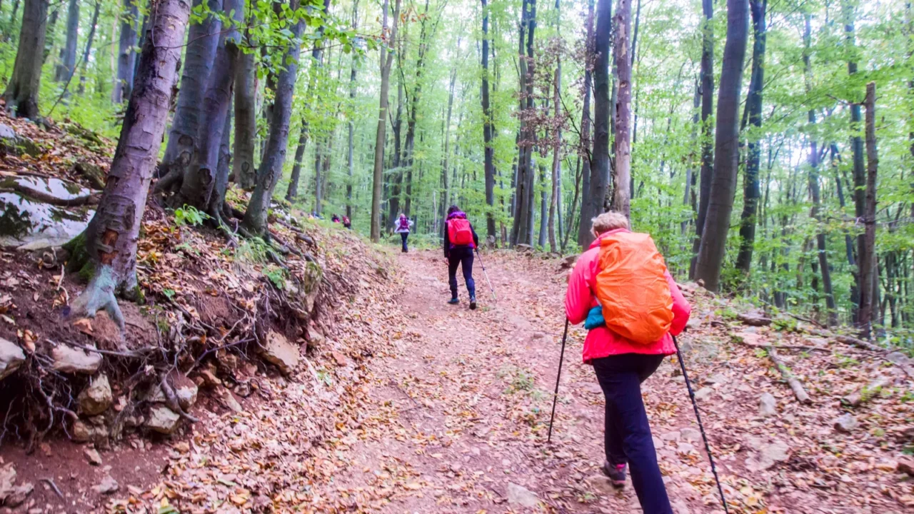 healthy lifestyle people hiking in nature