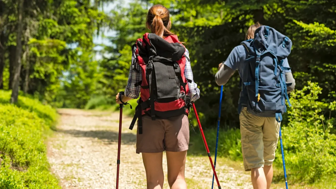 hikers on path with trekking poles