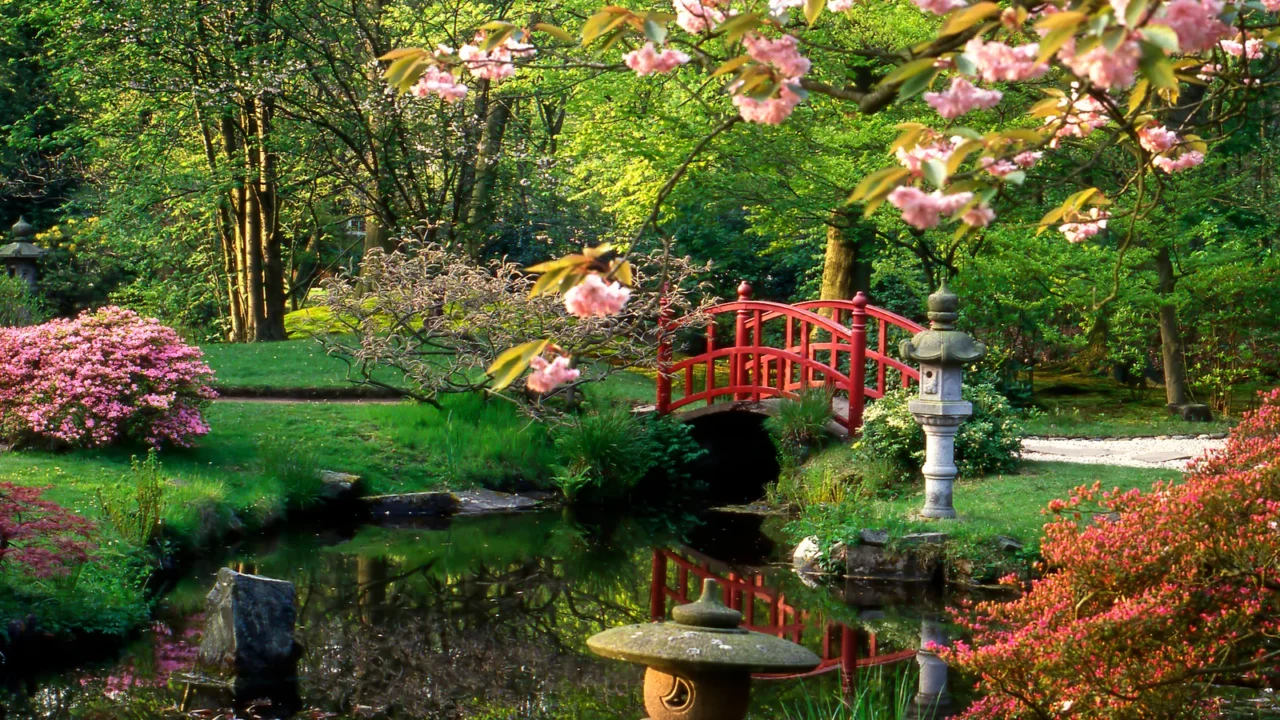 japanese garden