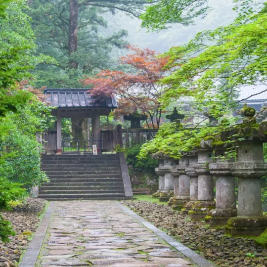 Ancient routes you can still walk today from Camino de Santiago to Japan’s Kumano Kodo