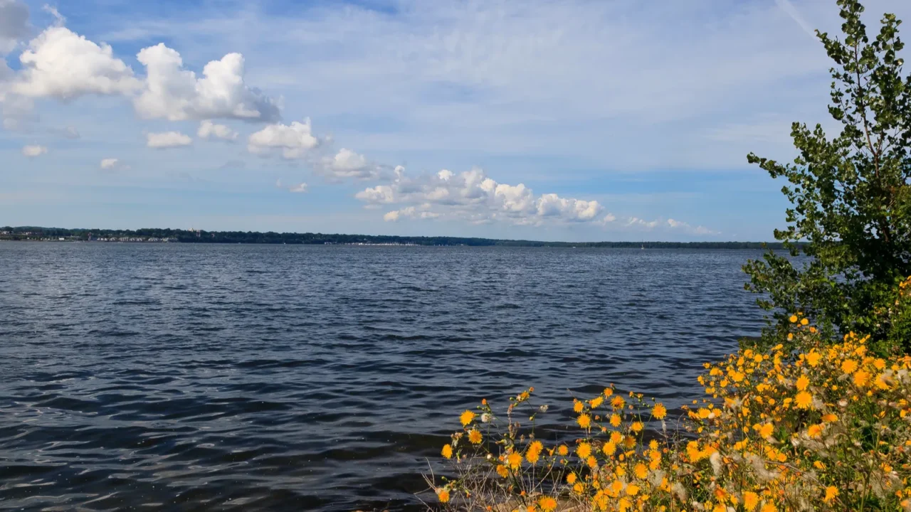 lake erie in the summer from the presque isle state