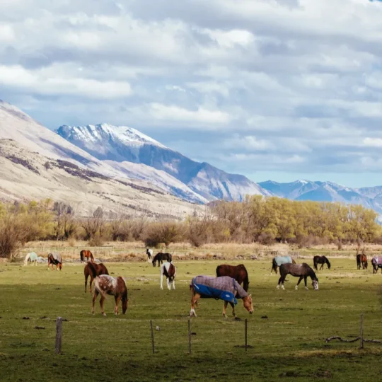 These secret New Zealand towns from the fantasy epic are now tourist-ready