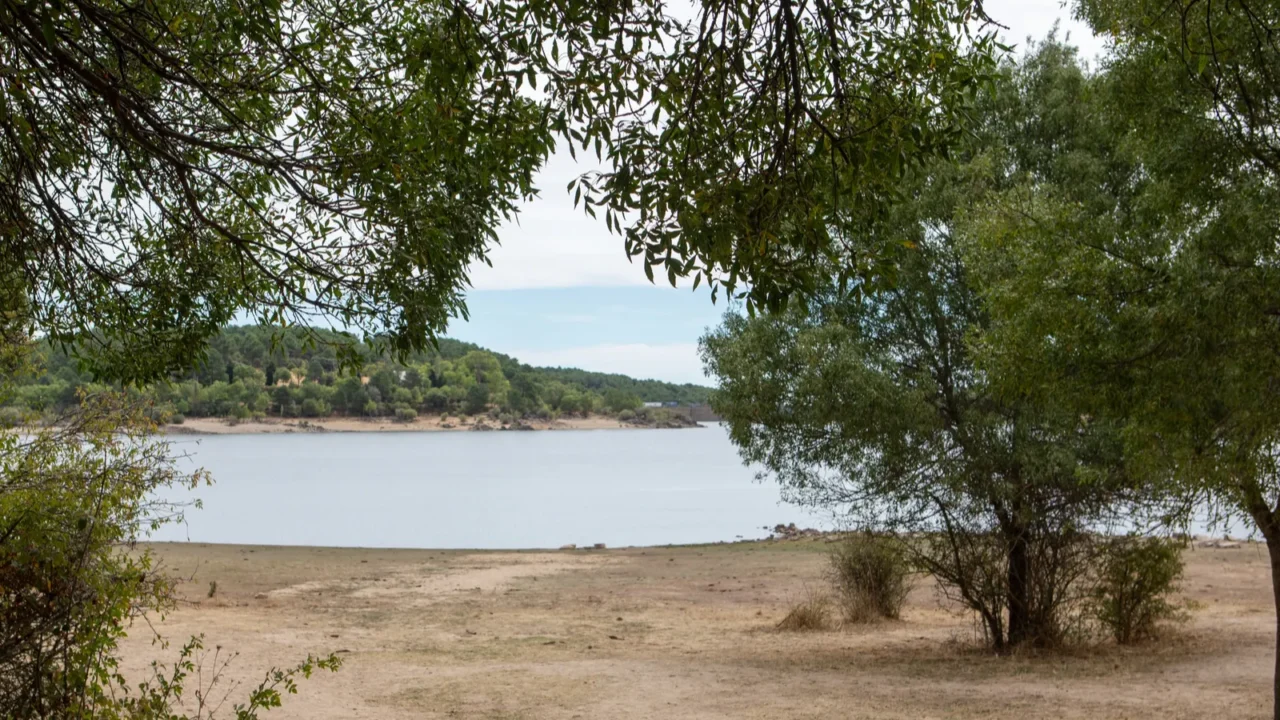 lush greenery frames a tranquil lake with trees providing shade