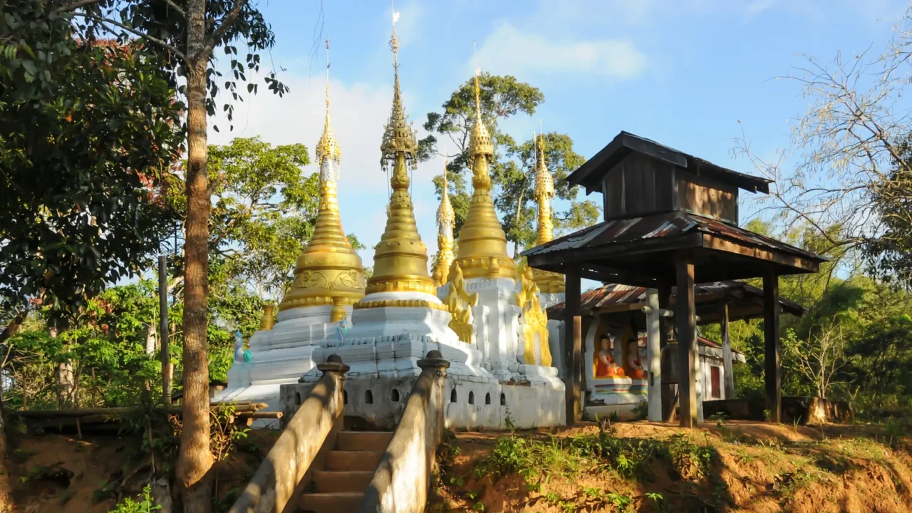 meditation in nature