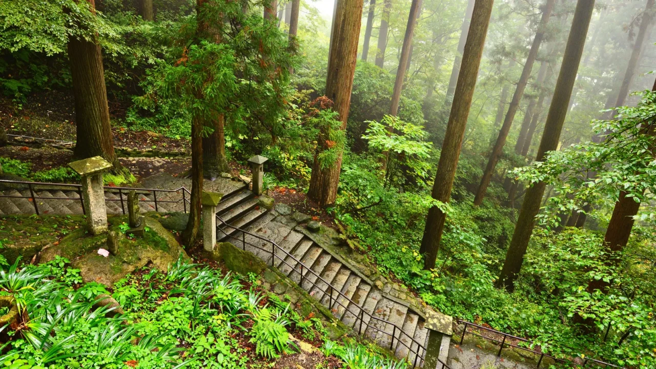 mountain temple trail