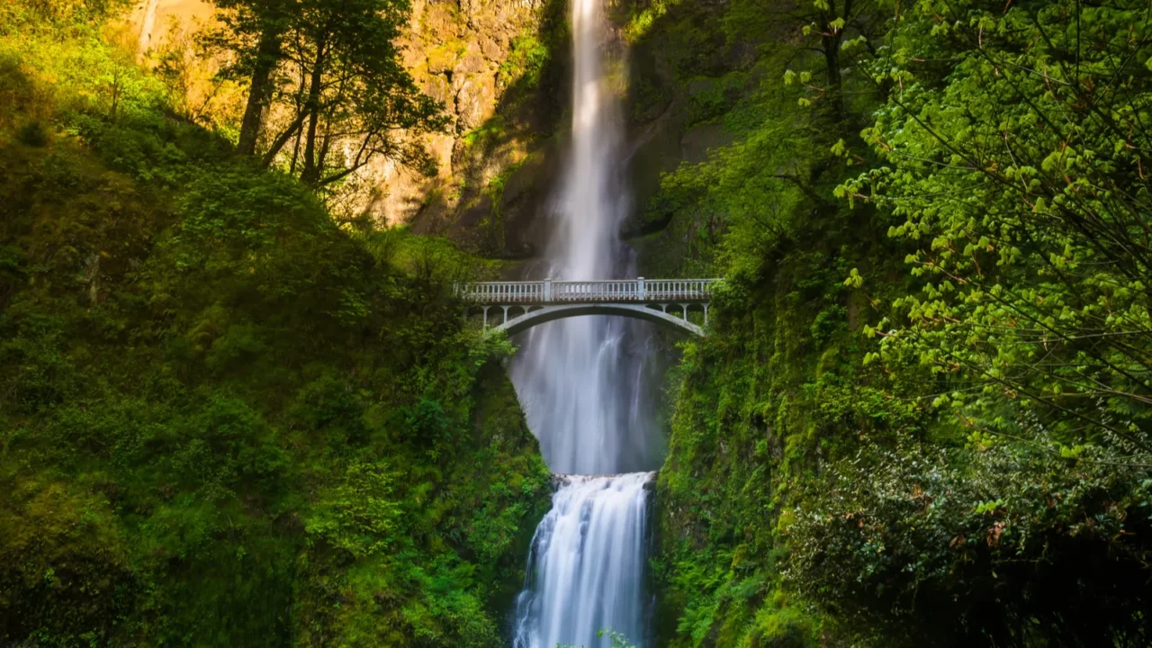multnomah falls and bridge in the columbia river gorge oregon