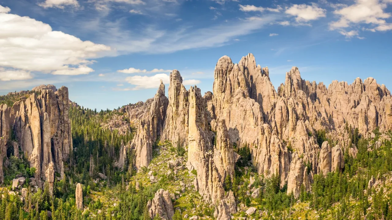 needles highway in custer state park