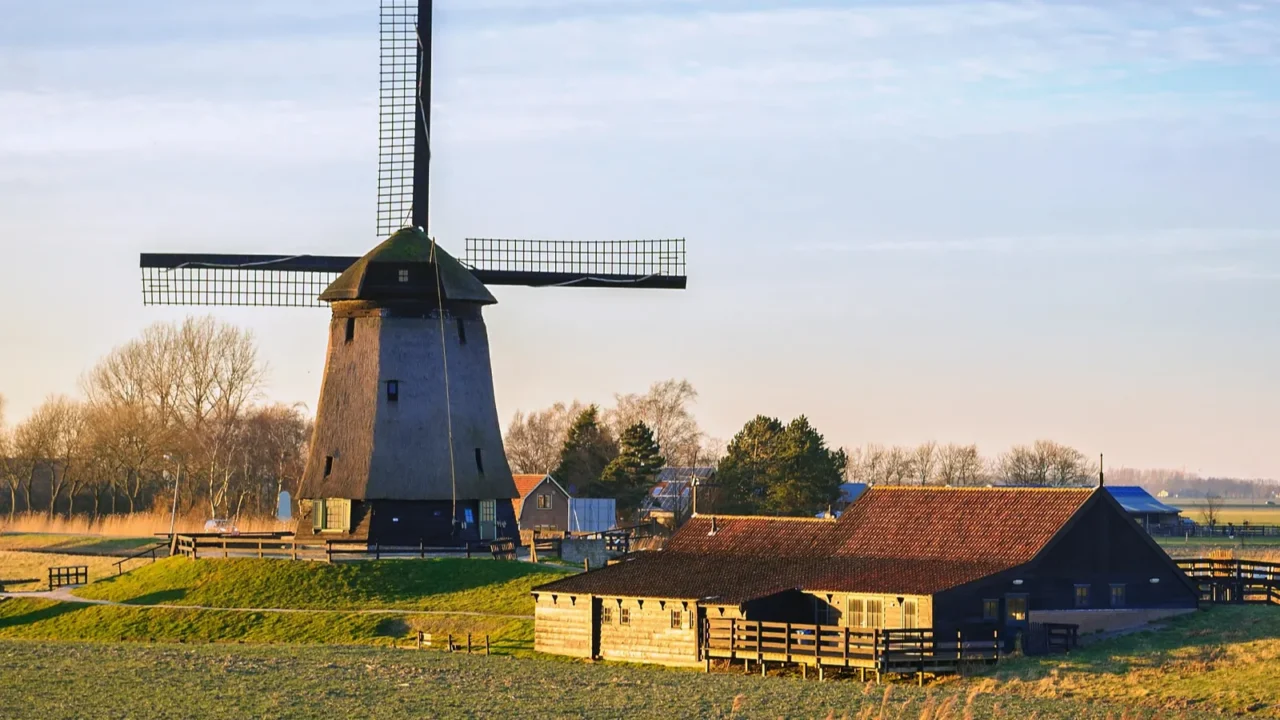 old water mill beside eilandspolder in evening light the netherlands