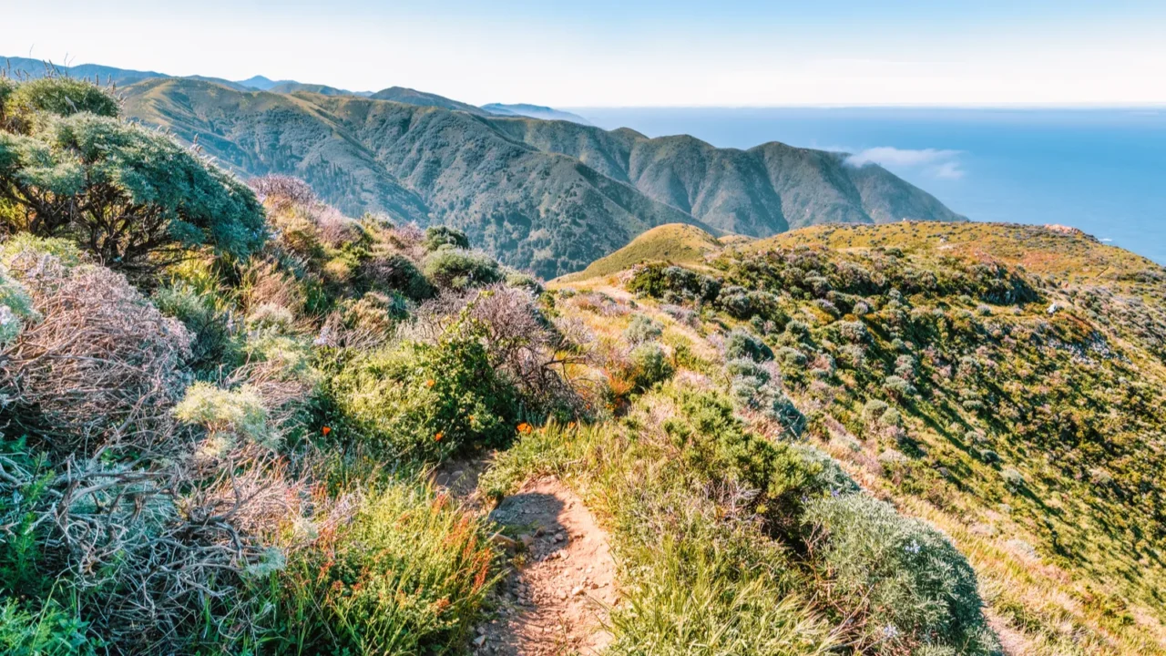 panoramic view of big sur coastline from soberanes canyon trailhead