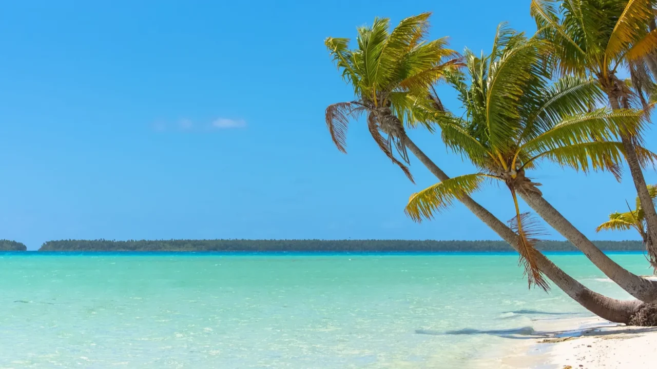 paradise island beach palms and clear turquoise ocean water in
