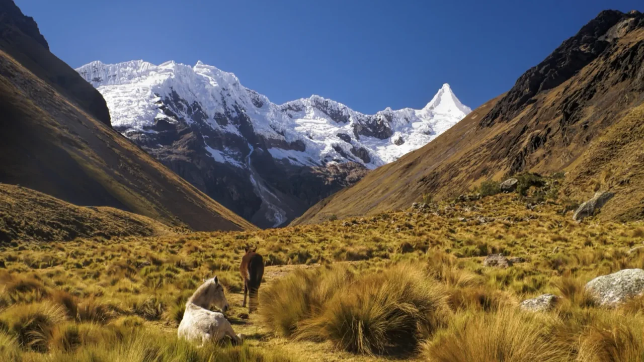 peruvian andes
