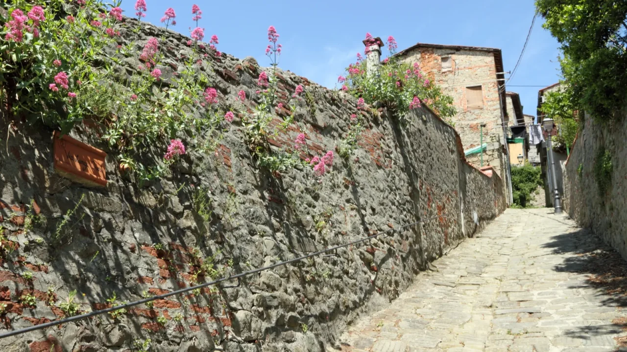 picturesque rural paved street and stonewall