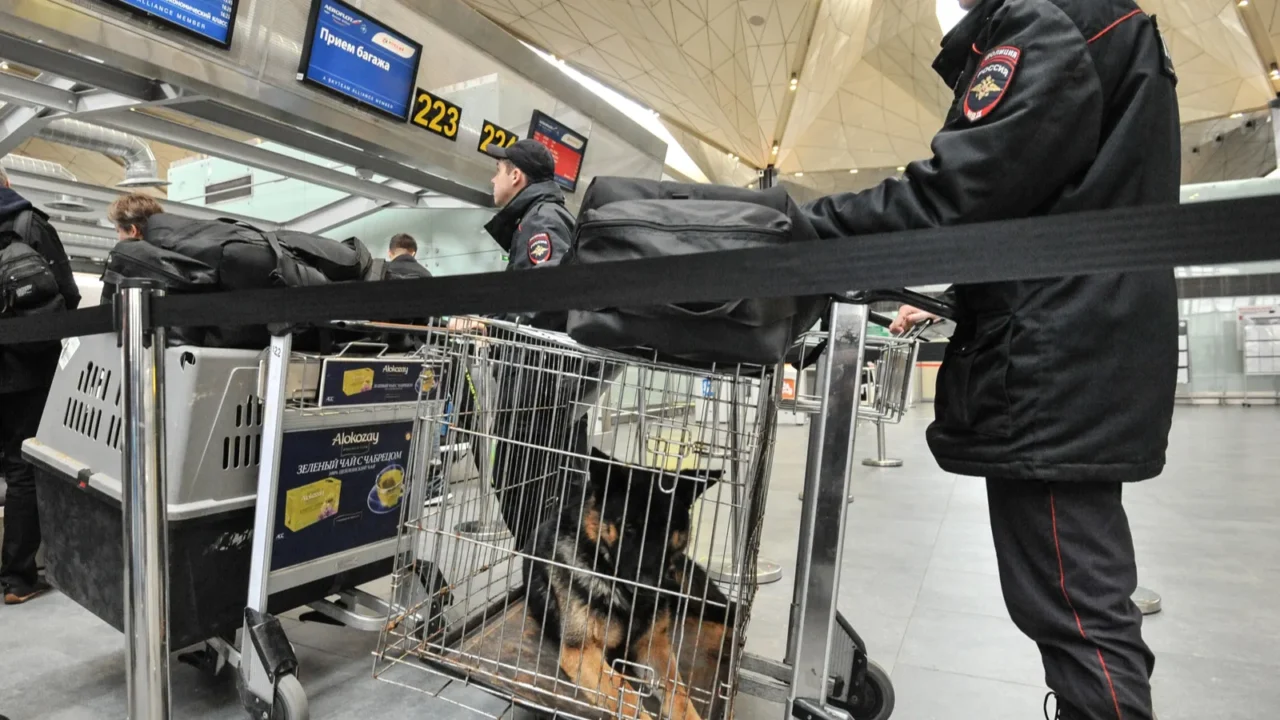 police with dogs at the airport