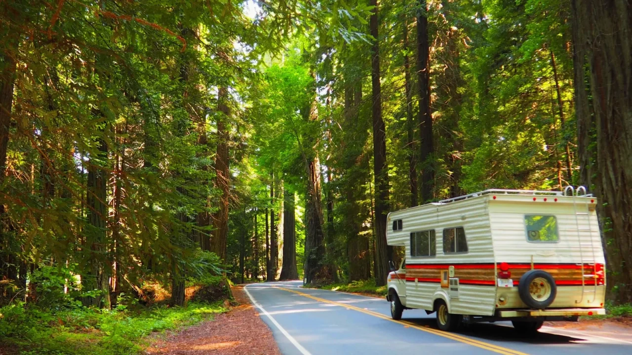 road trip motor home driving through lush green redwood forest