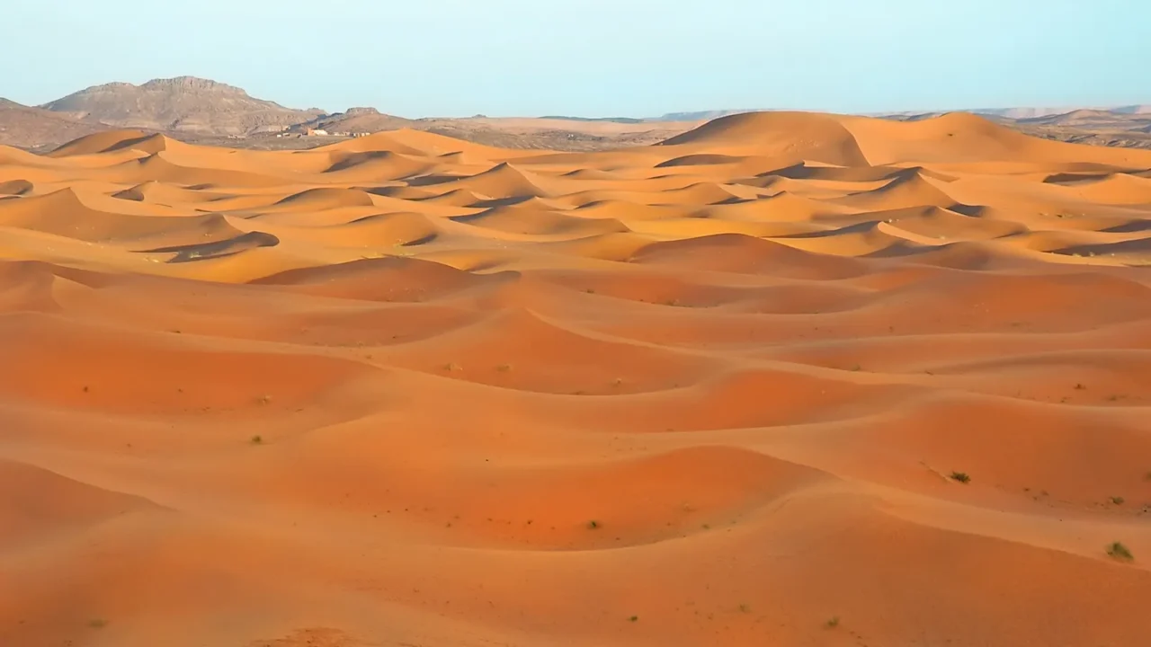 sahara desert