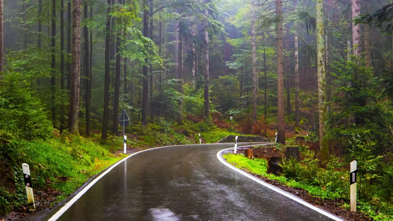 schwarzwald the first autumn rain the smooth highway glistens with