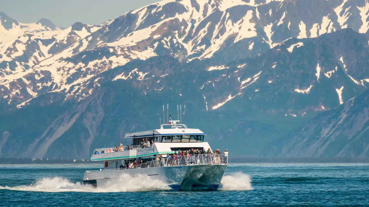 seward alaska 3 june 2022 kenai fjord wildlife tour