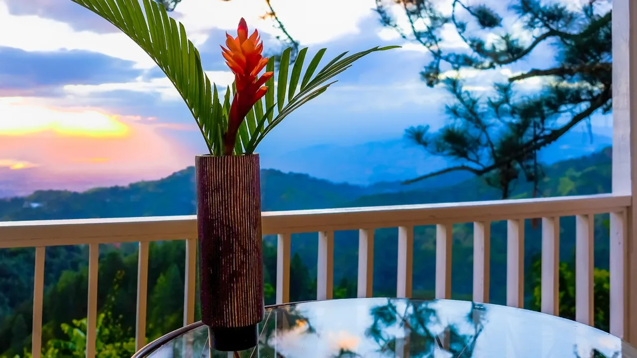 single red ginger in a vase on a glass table