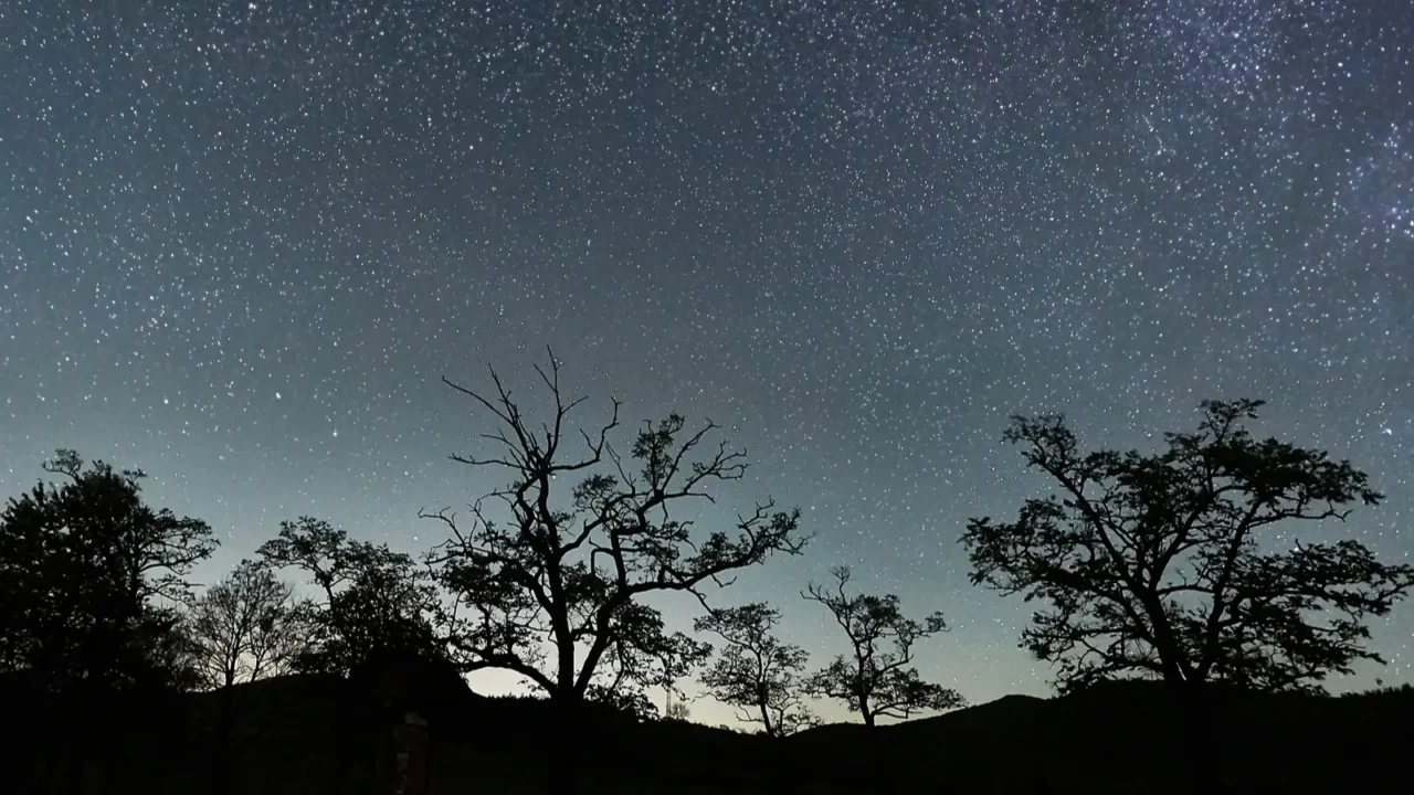 starry sky landscape